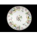 Nippon Mystery #40 Hand Painted 7 5/8" Salad Plate