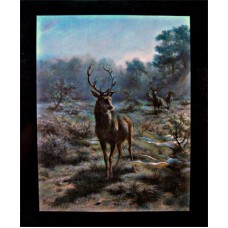 Red Fox Fine Art  Catalog - 1989