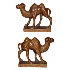 Miniature Bronze Camel Benson Wild Animal Farm