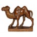 Miniature Bronze Camel Benson Wild Animal Farm
