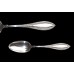 Sterling Indian Whiting Serving Spoon