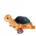 Peekaboo Turtle Beanie Baby