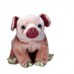 Pig The Zodiac Collection Beanie Baby