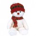 Snowboy The Beanie Buddy